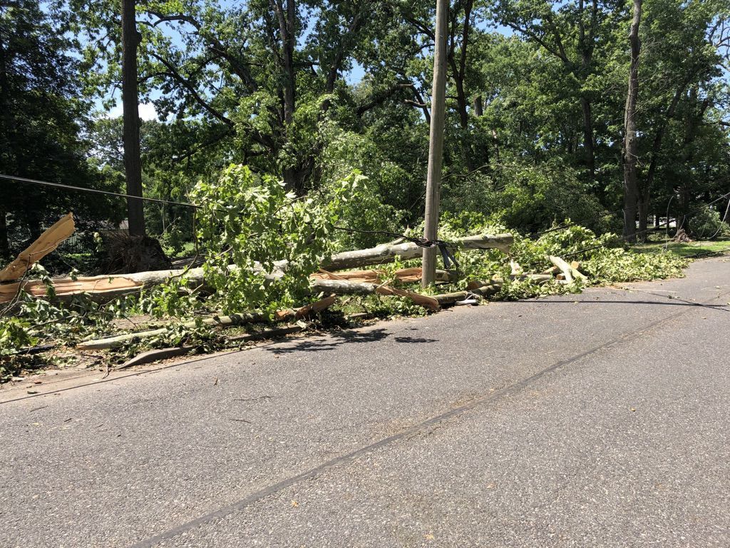 Tropical Storm Isaias aftermath in Hammonton